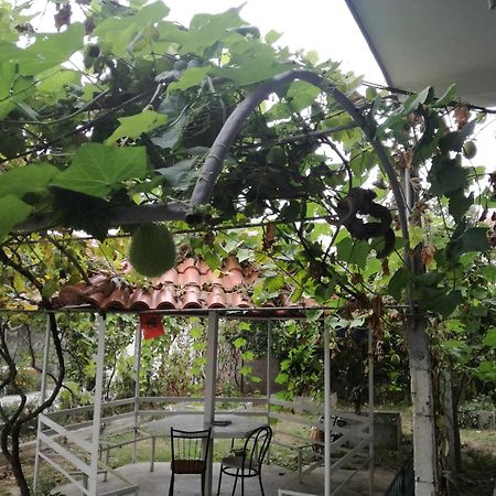 Villa Osmani Durres Bagian luar foto