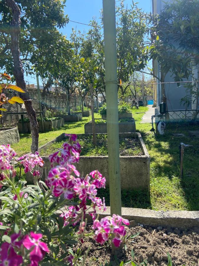 Villa Osmani Durres Bagian luar foto