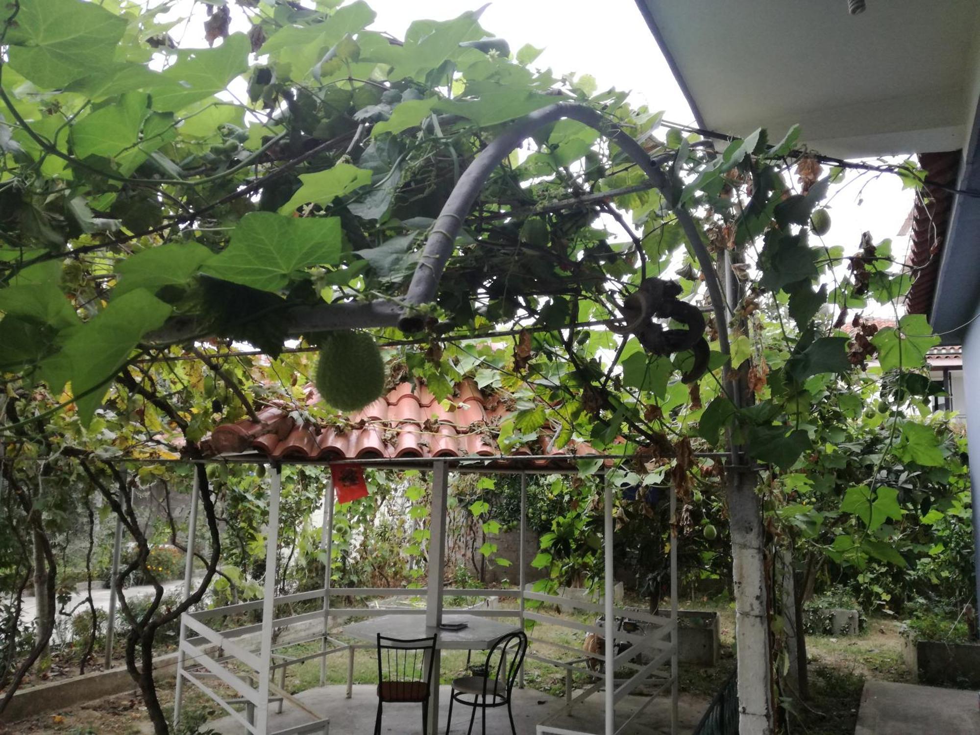 Villa Osmani Durres Bagian luar foto