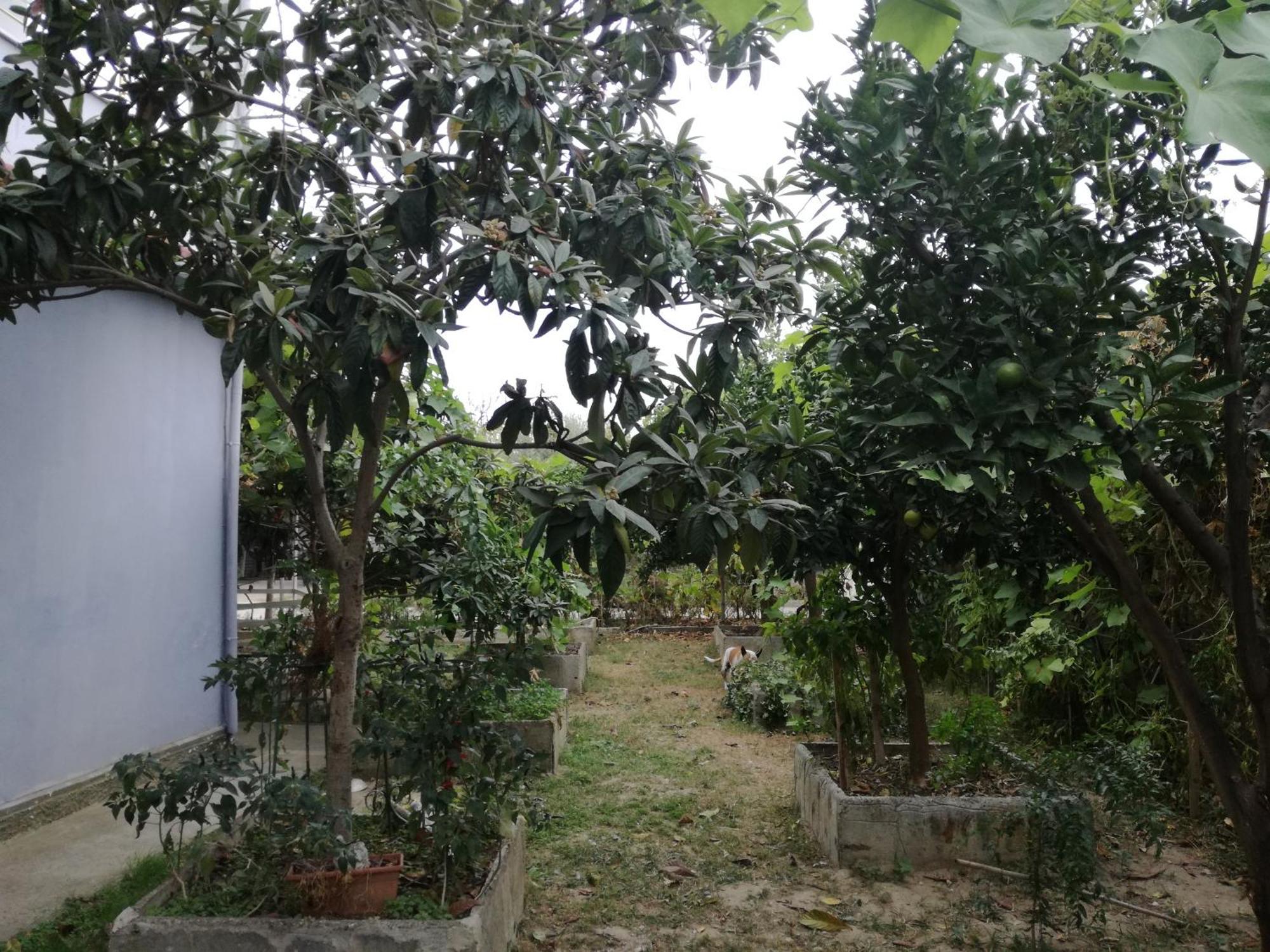 Villa Osmani Durres Bagian luar foto